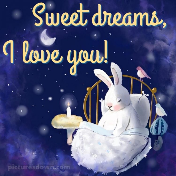 Good night love images picture bunny free download