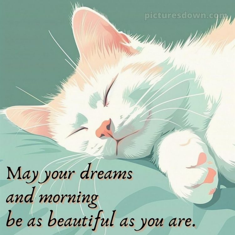 Good night love images for girlfriend picture white cat free download