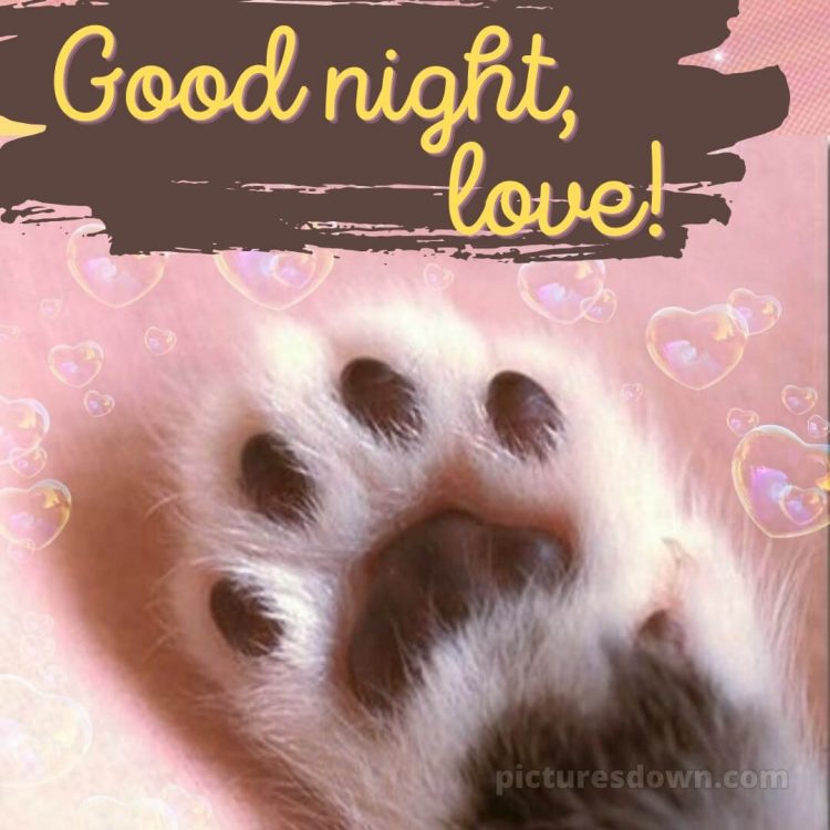 Good night love images for girlfriend picture paw free download