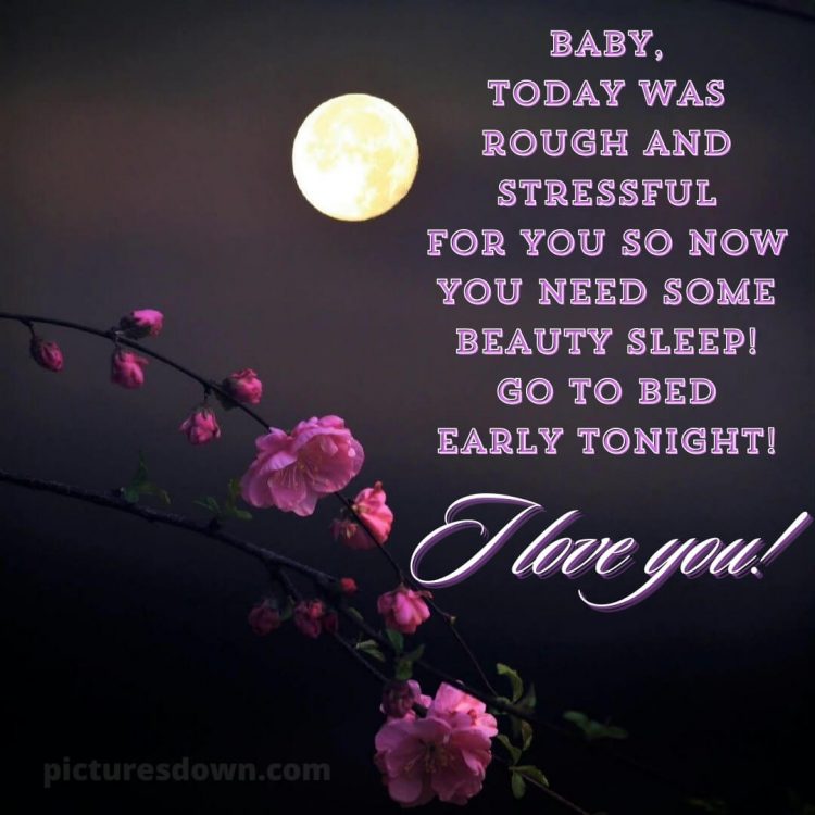 Good night love images for girlfriend picture moon and flower free download