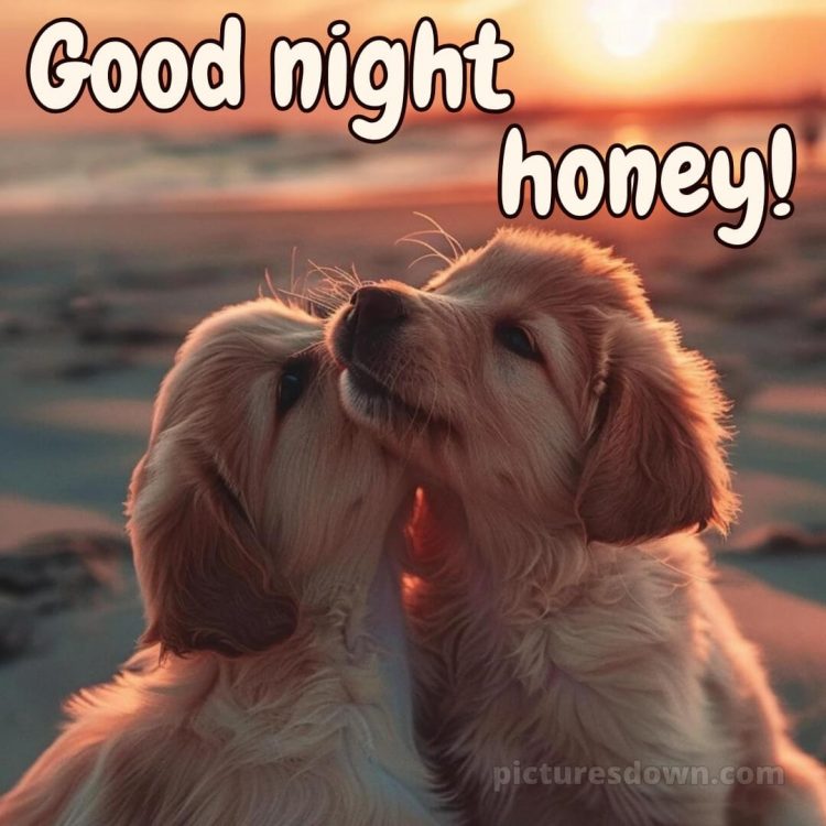Good night love images for girlfriend picture dogs free download