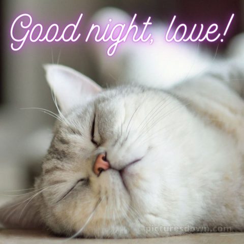 Good night love images for girlfriend picture cat free download