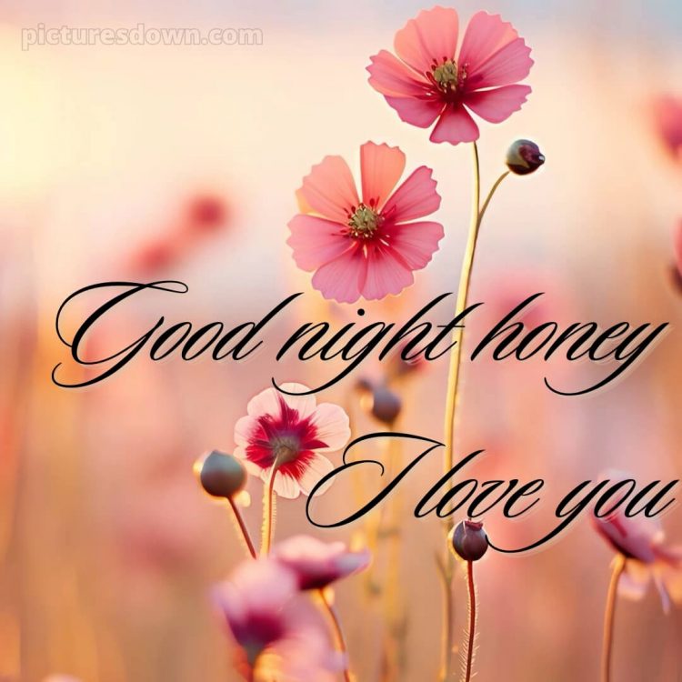 Good night love images for girlfriend picture flowers free download