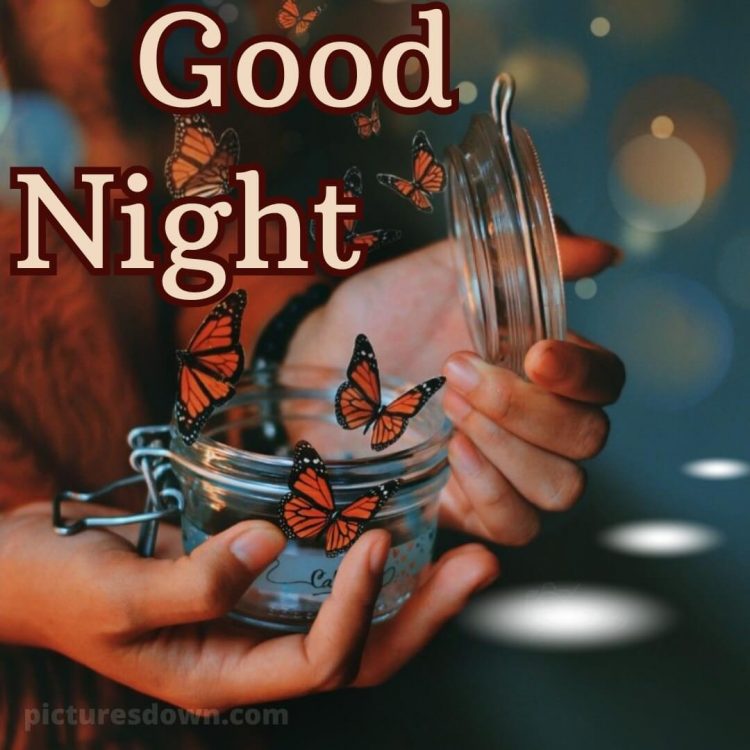 Good night love message picture butterflies free download