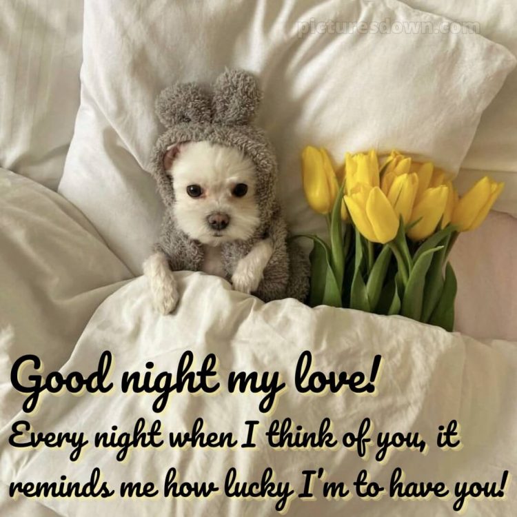 Good night love message picture doggie and tulips free download