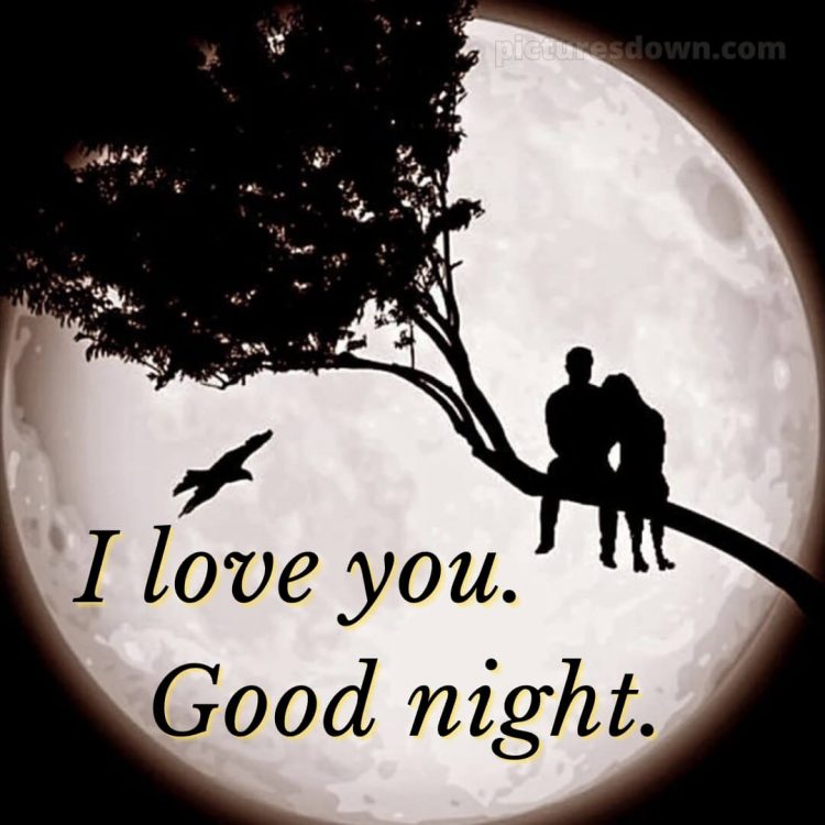 Good night love message picture huge moon free download