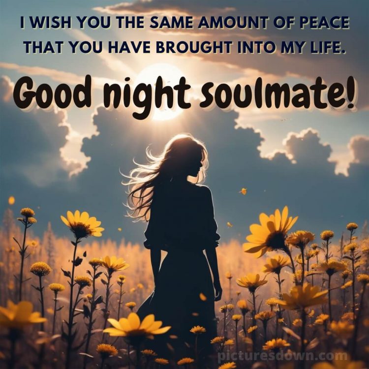 Good night love message picture yellow flowers free download
