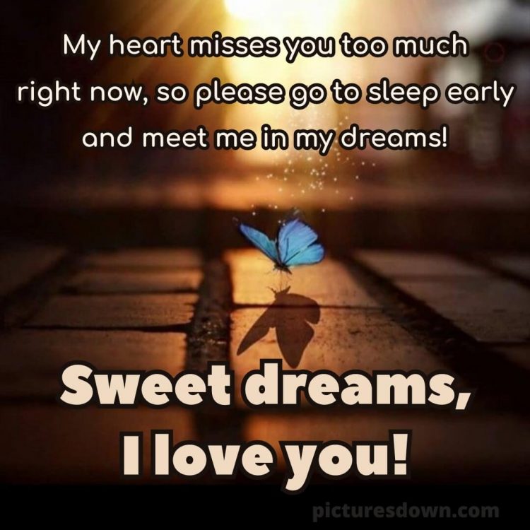 Good night love message picture blue butterfly free download