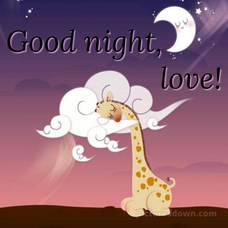 Good night love messages picture giraffe free download