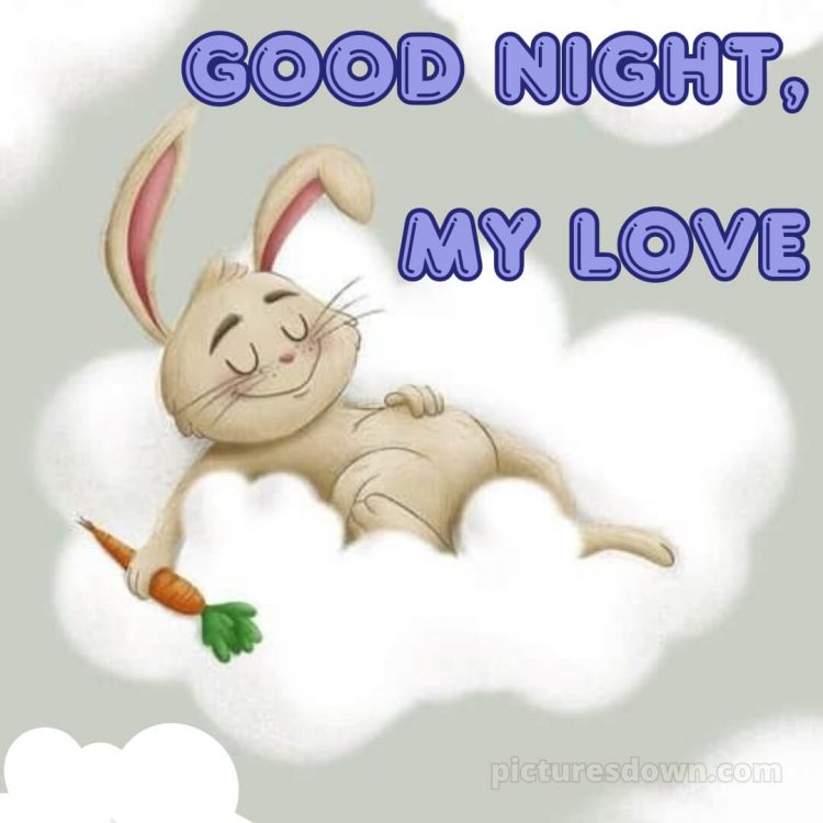 Good night love messages picture bunny and carrots free download