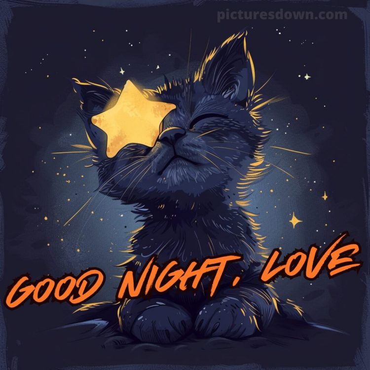 Good night love messages picture black cat free download
