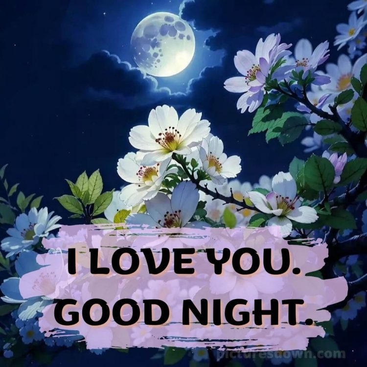 Good night love photo picture blossom free download