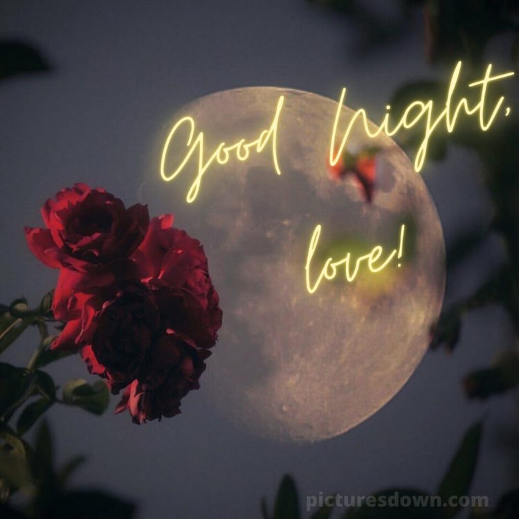 Good night love photo picture moon free download