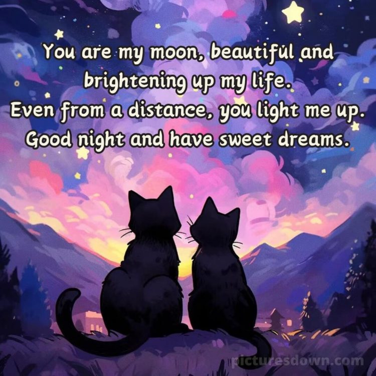Good night love quotes picture two cats free download