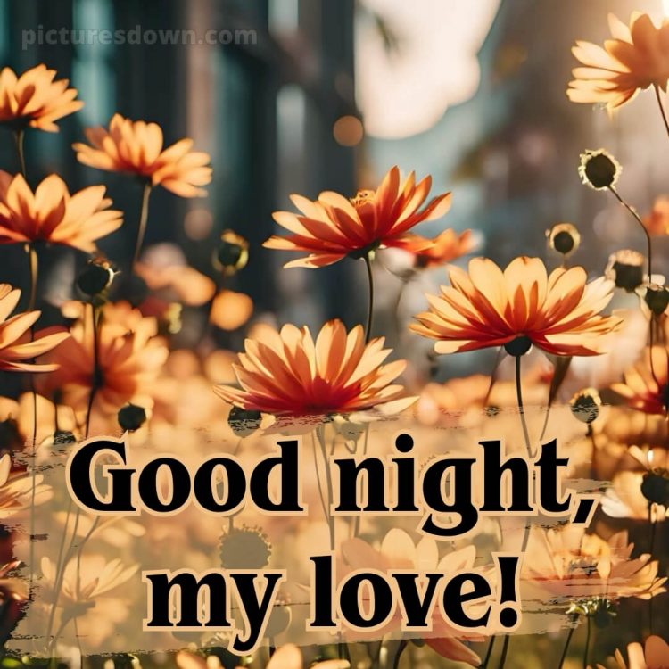 Good night love wishes picture flowers free download