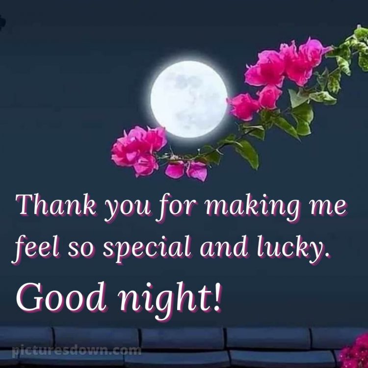 Good night love wishes picture moon free download