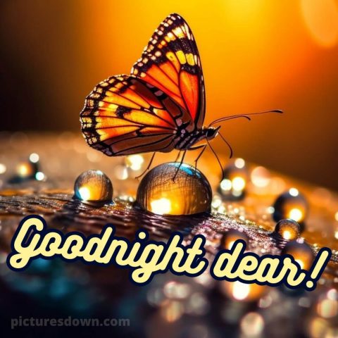 Good night love wishes picture butterfly free download