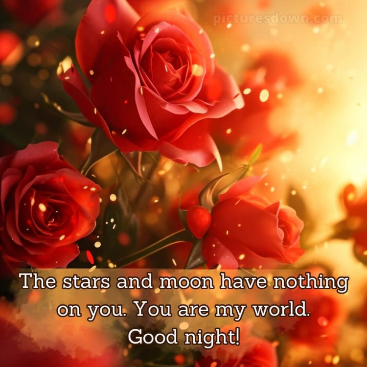 Good night message to my love picture roses free download