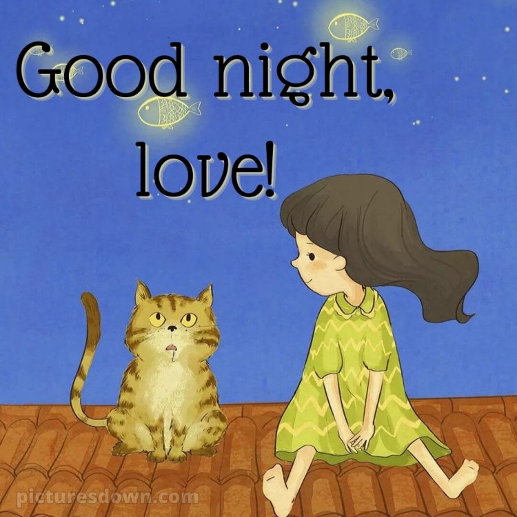 Good night message to my love picture roof free download