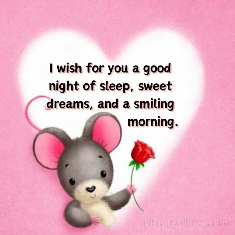 Good night messages for love picture mouse free download