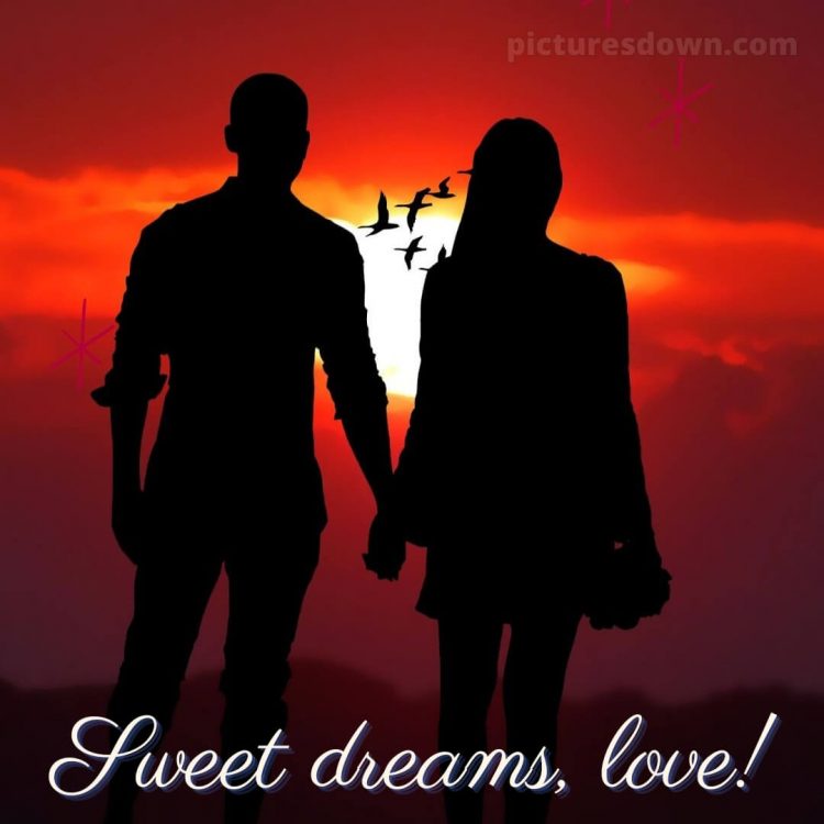 Good night messages for love picture birds in the sky free download