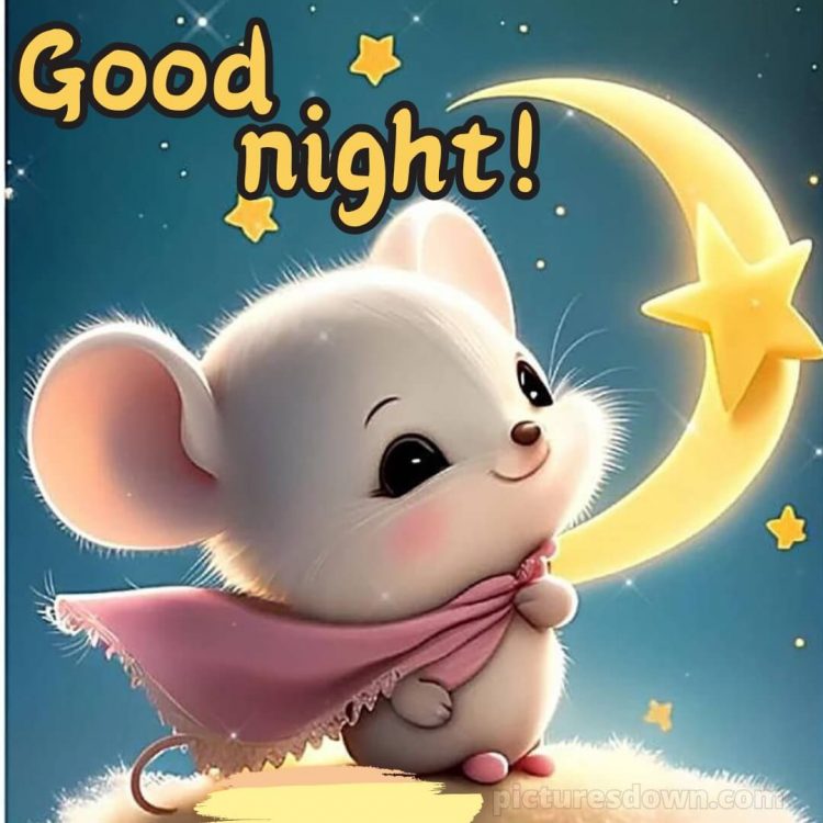 Good night messages for love picture mouse and moon free download