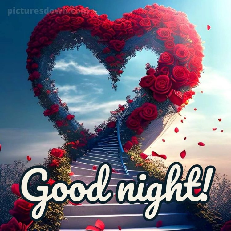 Good night messages for love picture roses free download