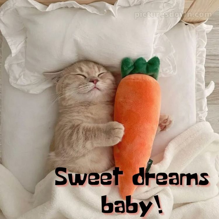 Good night messages for love picture cat with a carrot free download