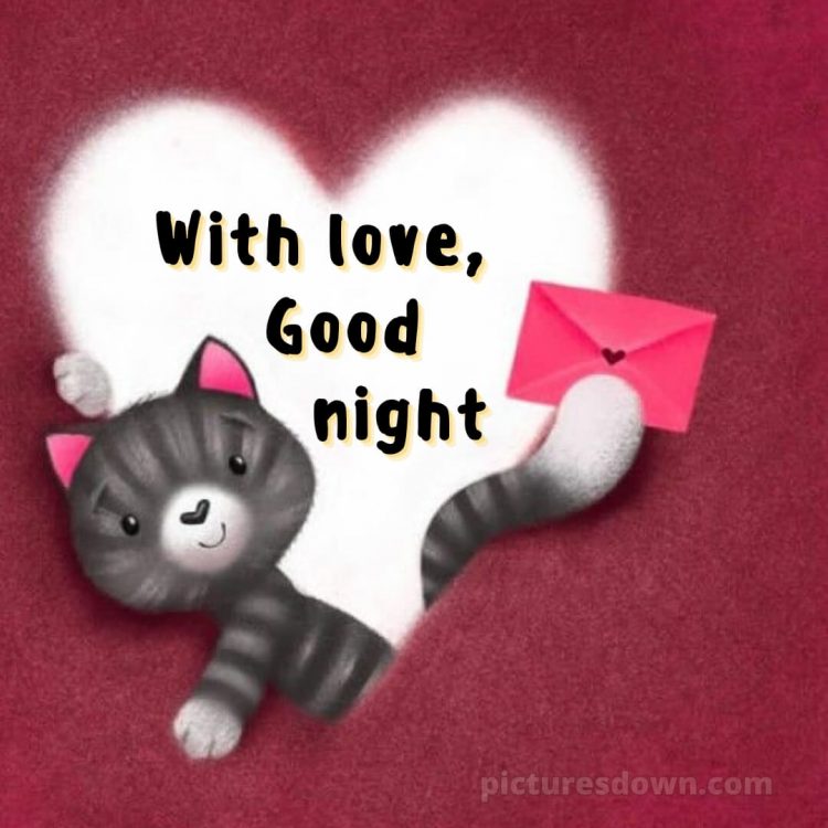 Good night messages for love picture cat with a letter free download