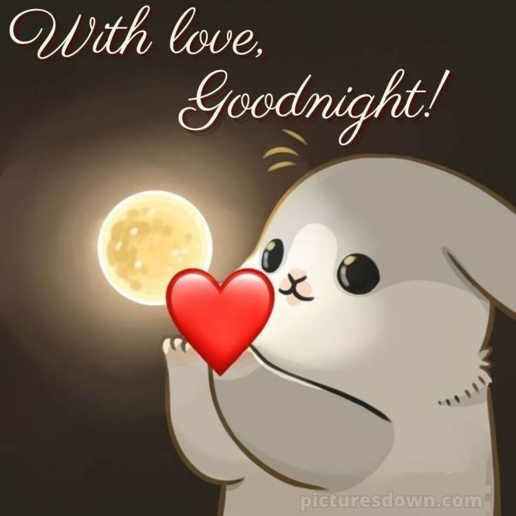 Good night messages for love picture bunny free download