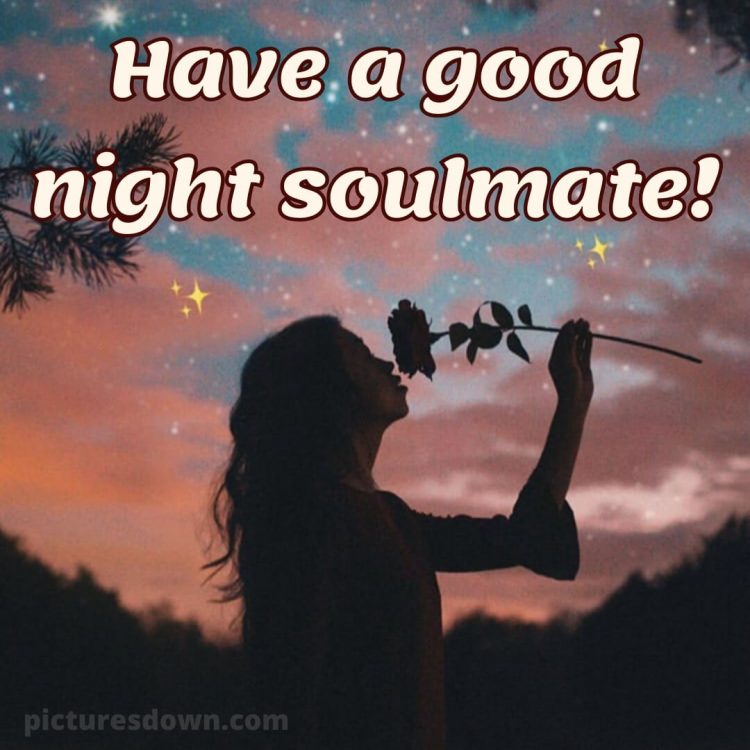Good night msg for love picture stars free download