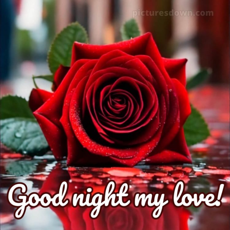Good night msg for love picture red rose free download