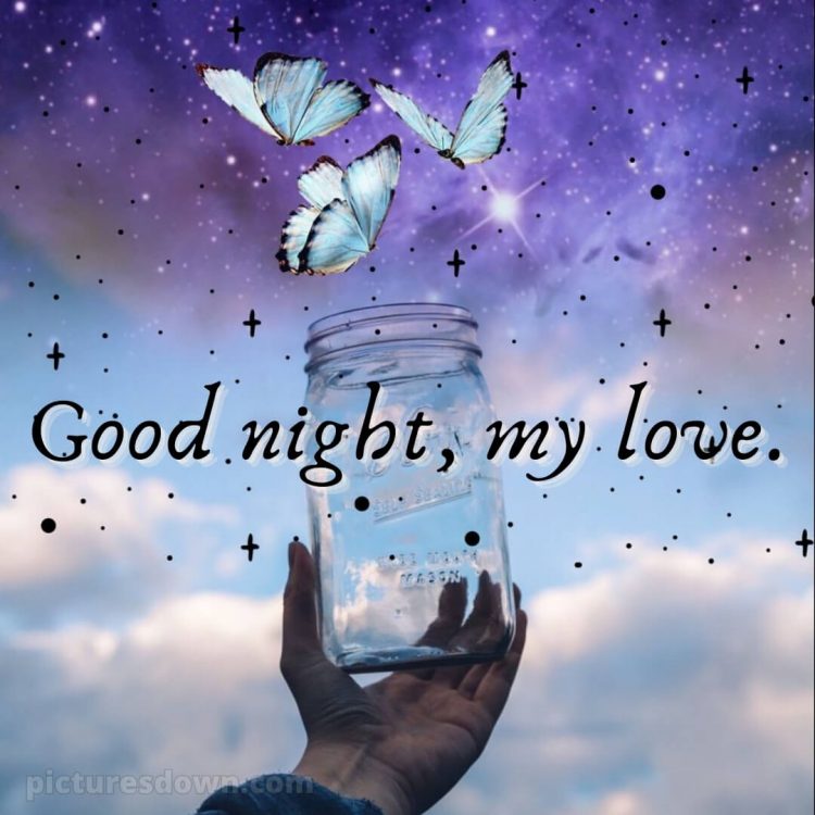 Good night msg for love picture butterfly free download
