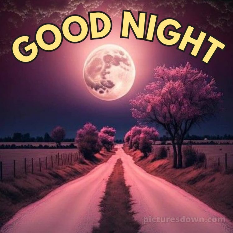 Good night my love picture moon free download