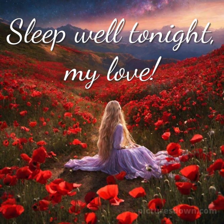Good night my love picture poppies free download