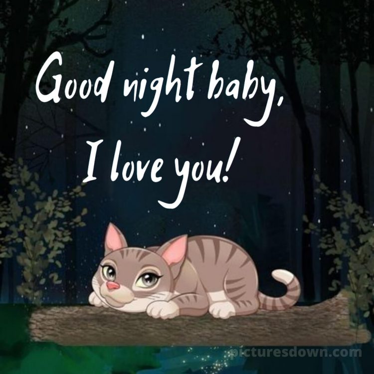 Good night my love picture cat in the forest free download