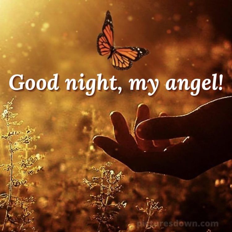 Good night my love images picture hand free download