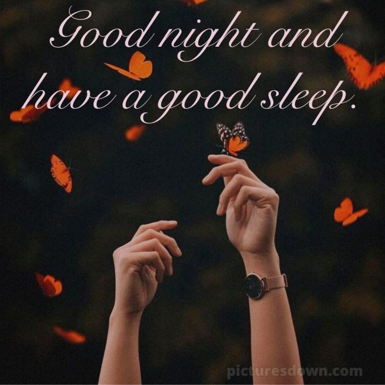 Good night my love images picture butterflies free download