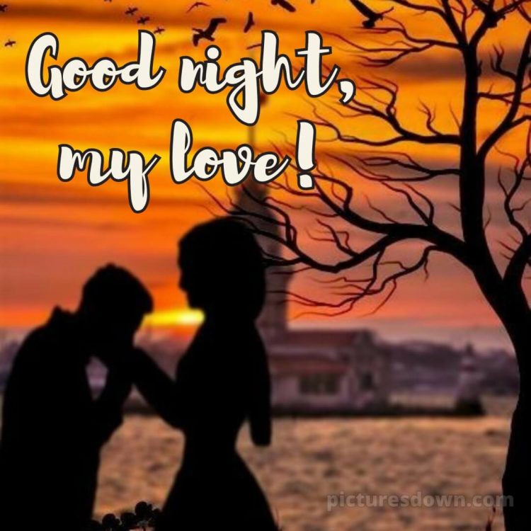 Good night photo love picture sunset free download