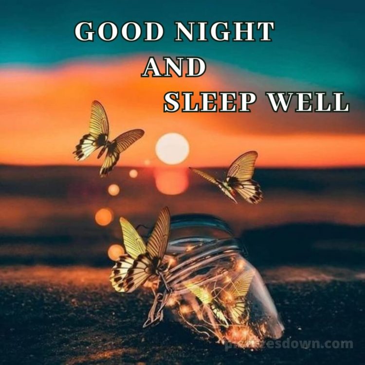 Good night photo love picture butterflies free download