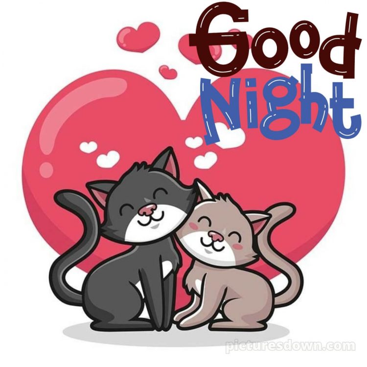 Good night photo love picture cats free download