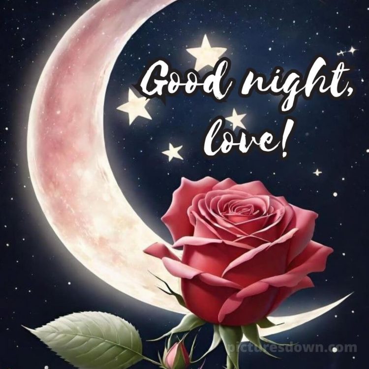 Good night photo love picture rose free download