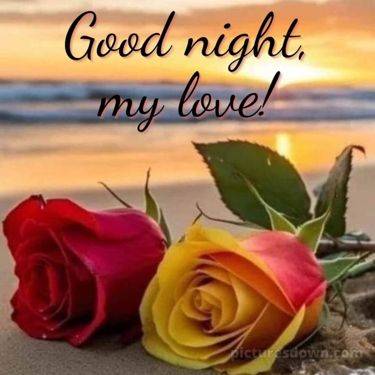 Good night photo love picture beach free download