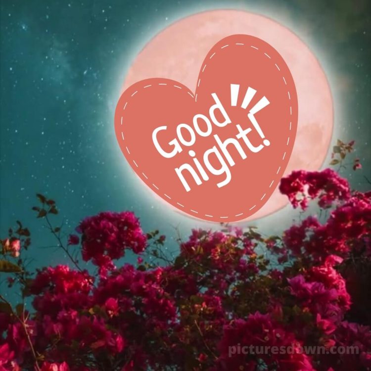 Good night photo love picture pink flowers free download