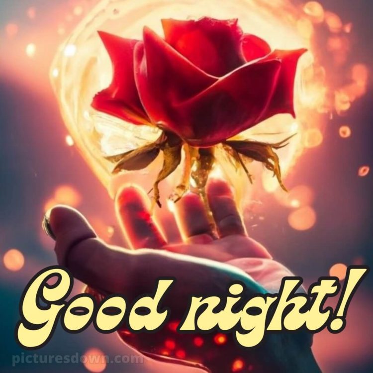 Good night pic love picture hand and rose free download