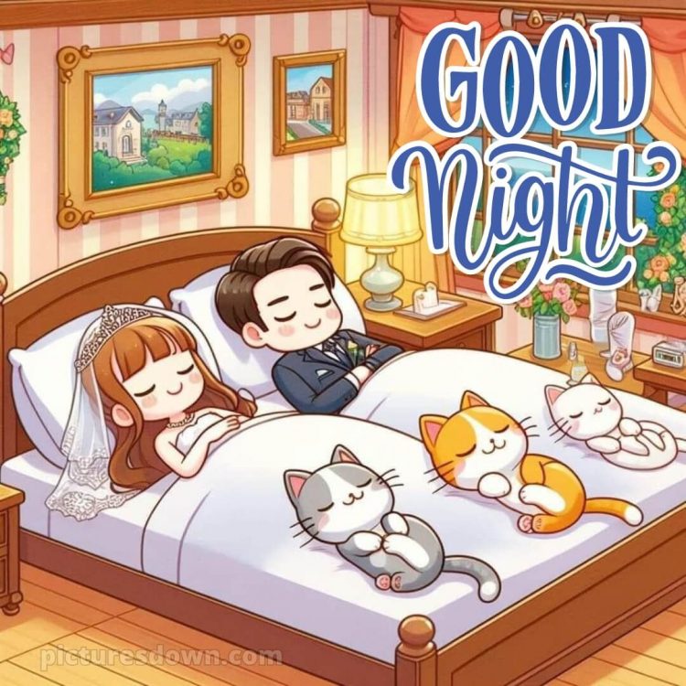 Good night pic love picture cats free download