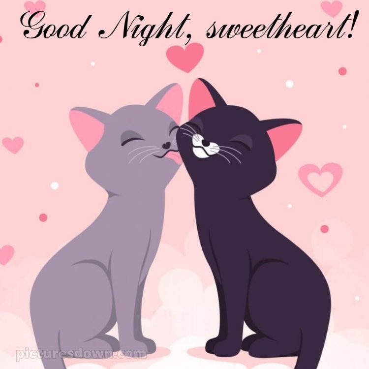 Good night quotes for love picture two cats free download