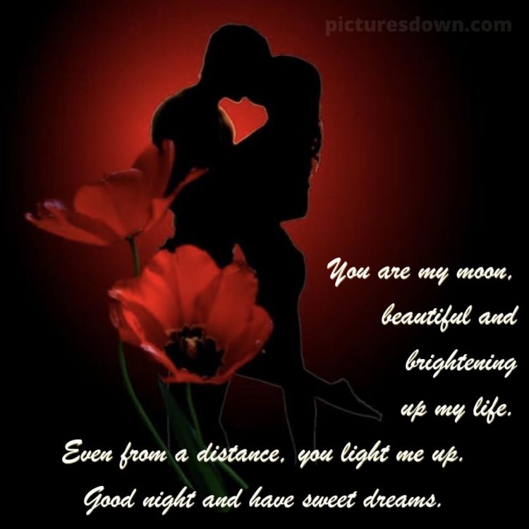 Good night quotes for love picture poppies free download