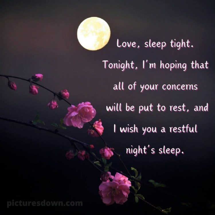 Good night quotes for love picture blooming free download