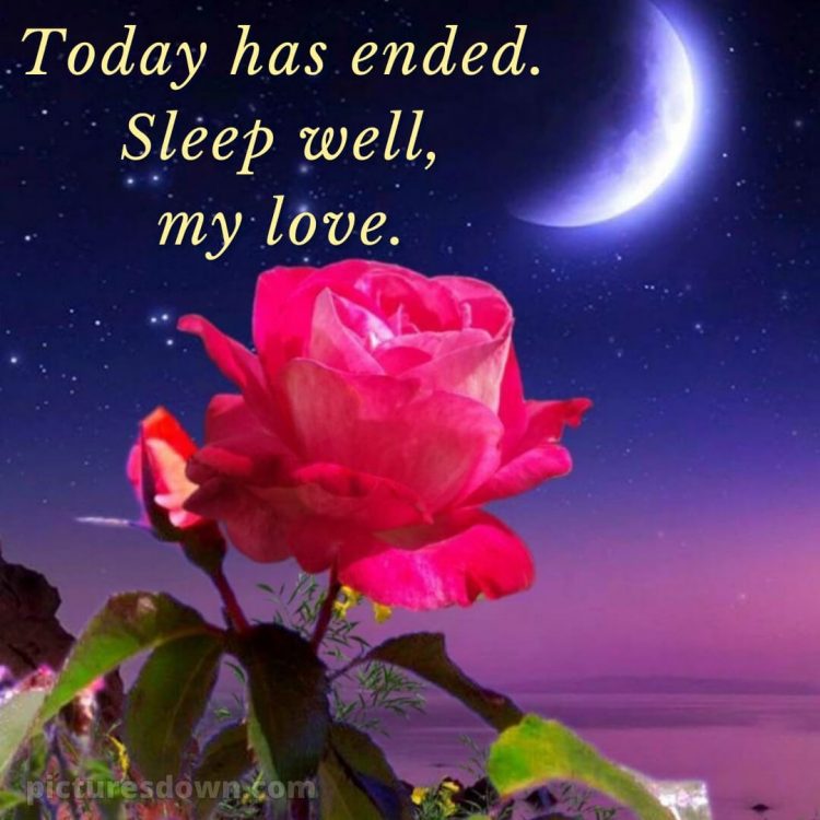 Good night quotes love picture rose free download
